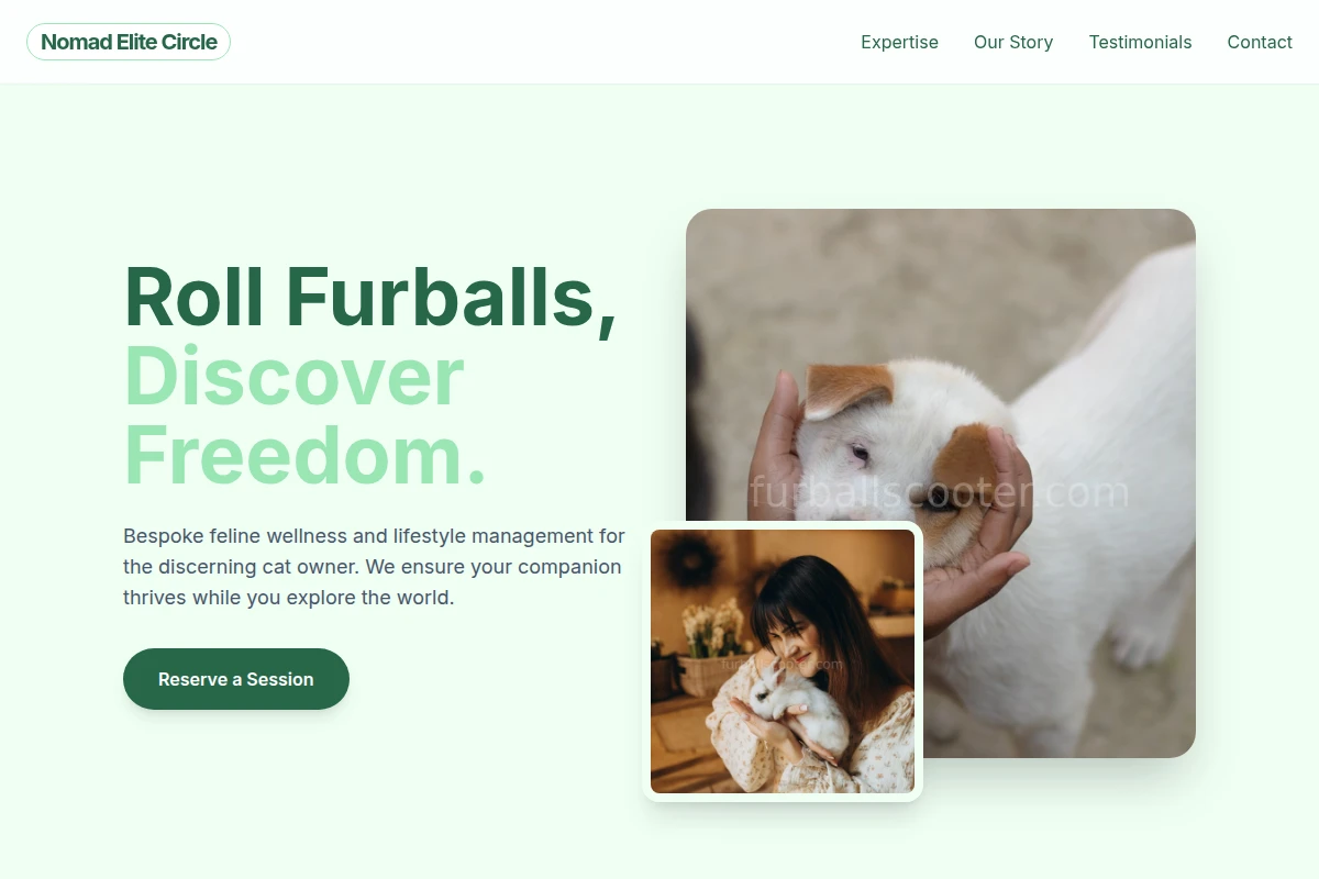 Feline Animal Care