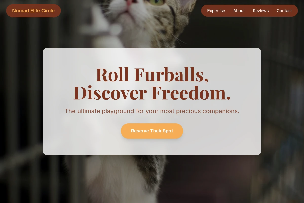 Play Animal Care