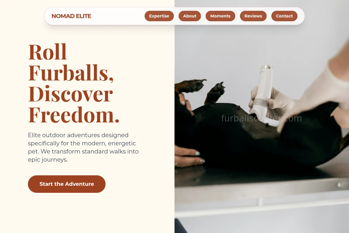 Adventure Animal Care