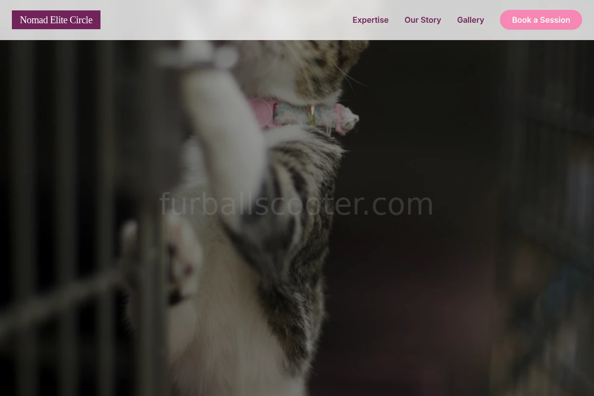 Nomad Animal Care