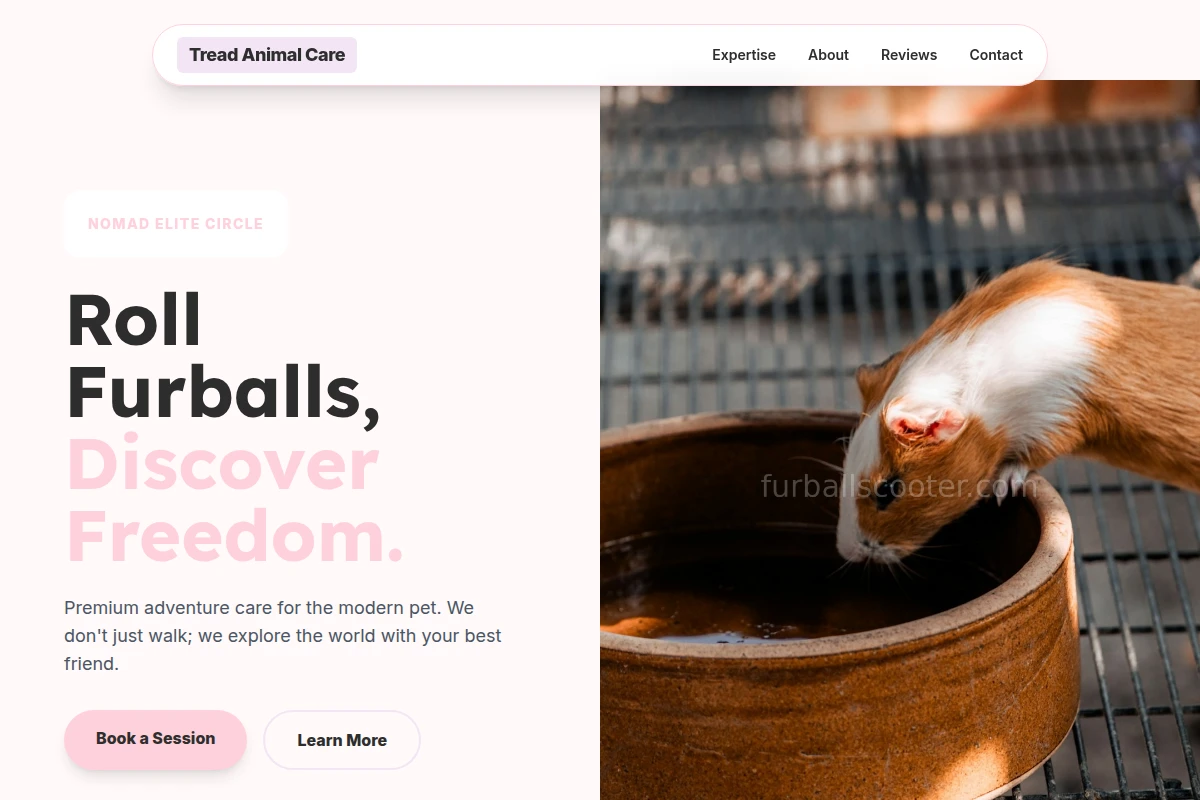 Tread Animal Care
