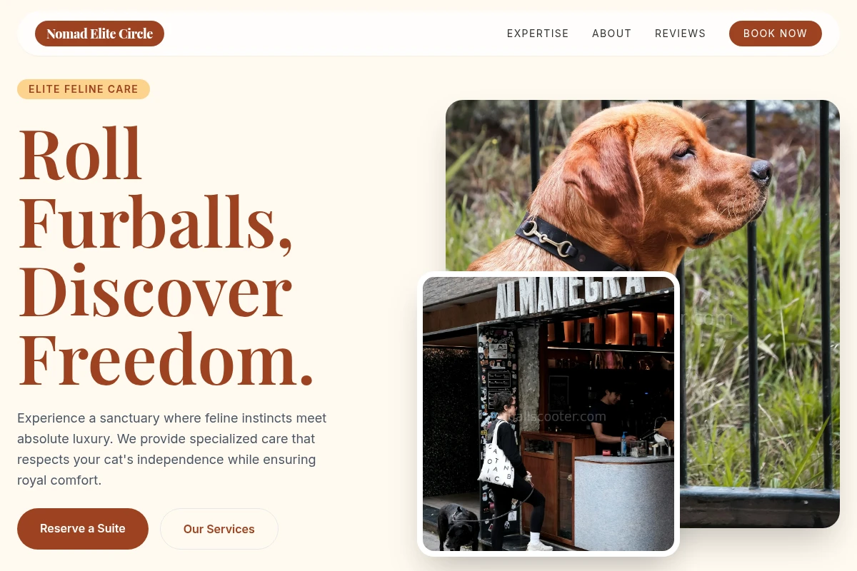 Feline Pet Services