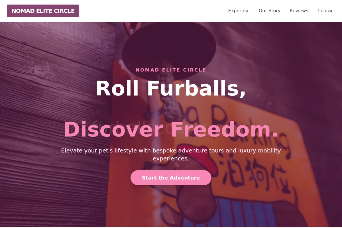 FurballsScooter.com