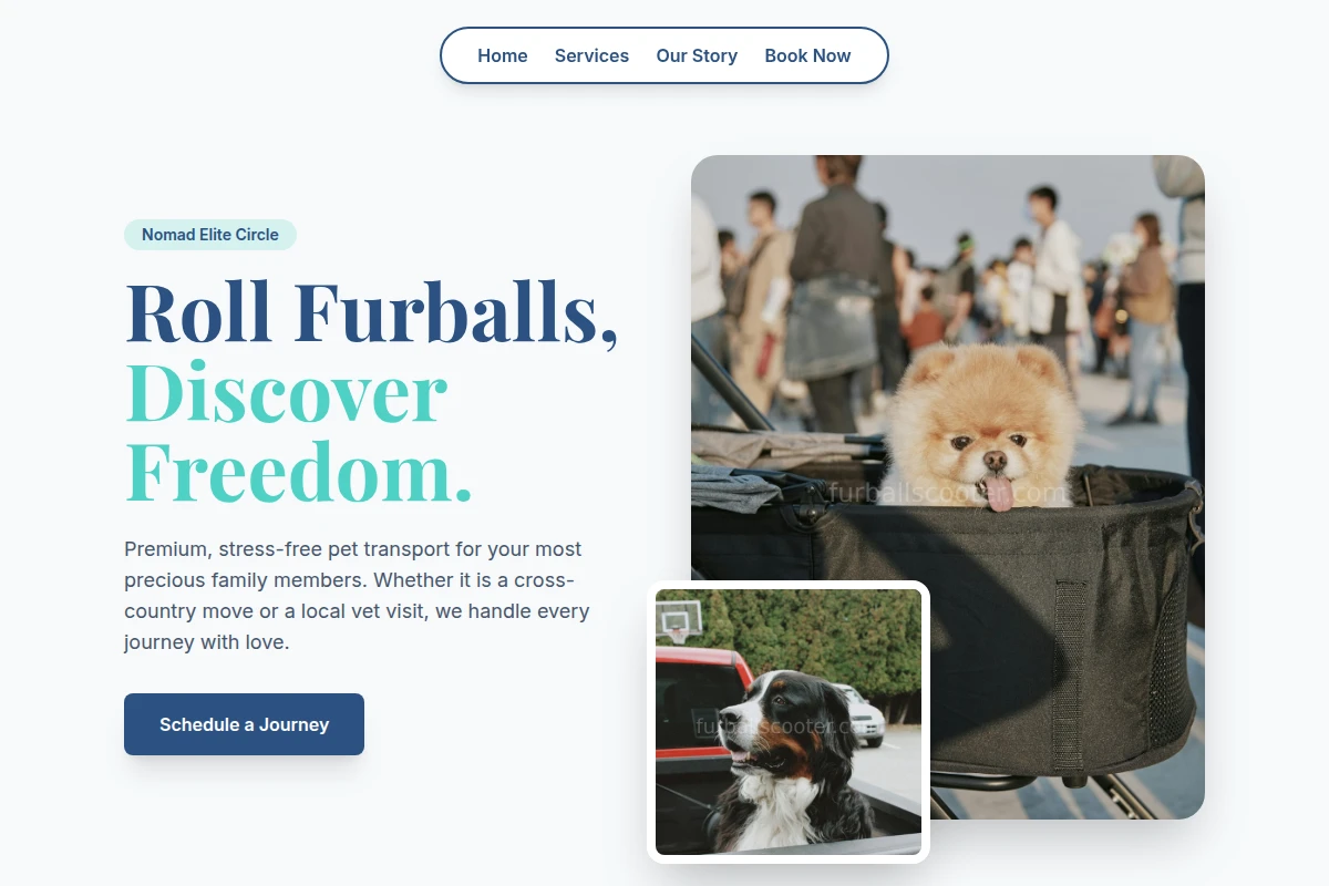 Zoomies Pet Transport